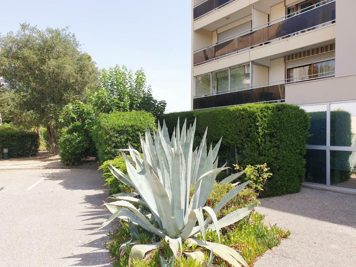 Apartamento Moderne Avec Parking Et Piscine- 313 *